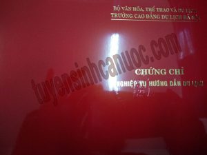 Chứng chỉ hướng dẫn viên du lịch